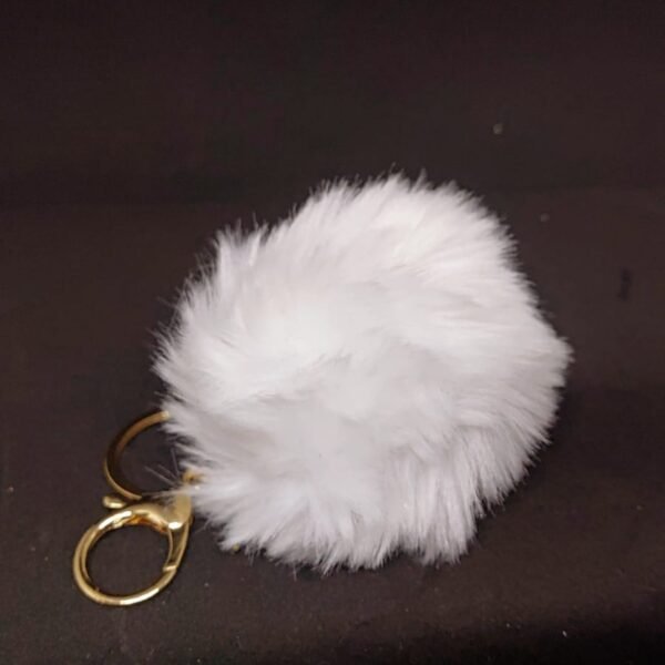 Pompom - Image 4
