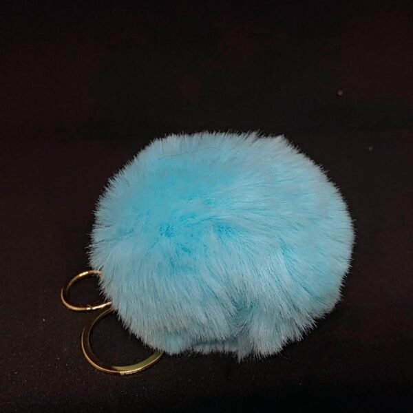 Pompom - Image 2